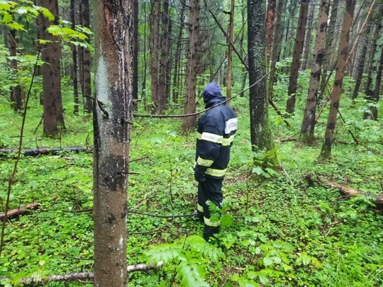 🍄 🌲С наступлением грибного сезона работники #Мособлпожспас ежедневно выезжают на поиск заблудившихся грибников